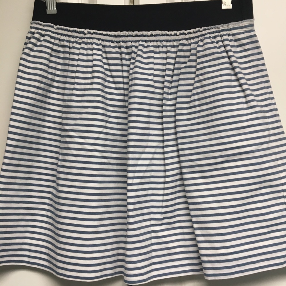 J Crew Skirt